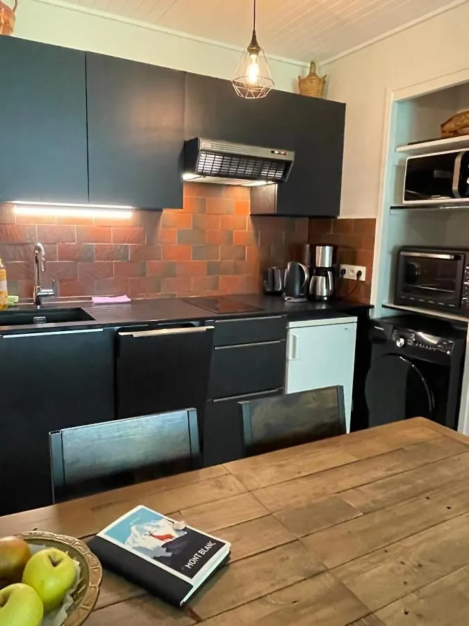 Apartment Residence Bois Du Bouchet, Appartement Vue Montagne, Calme, Parking Gratuit, Proche Centre Chamonix France