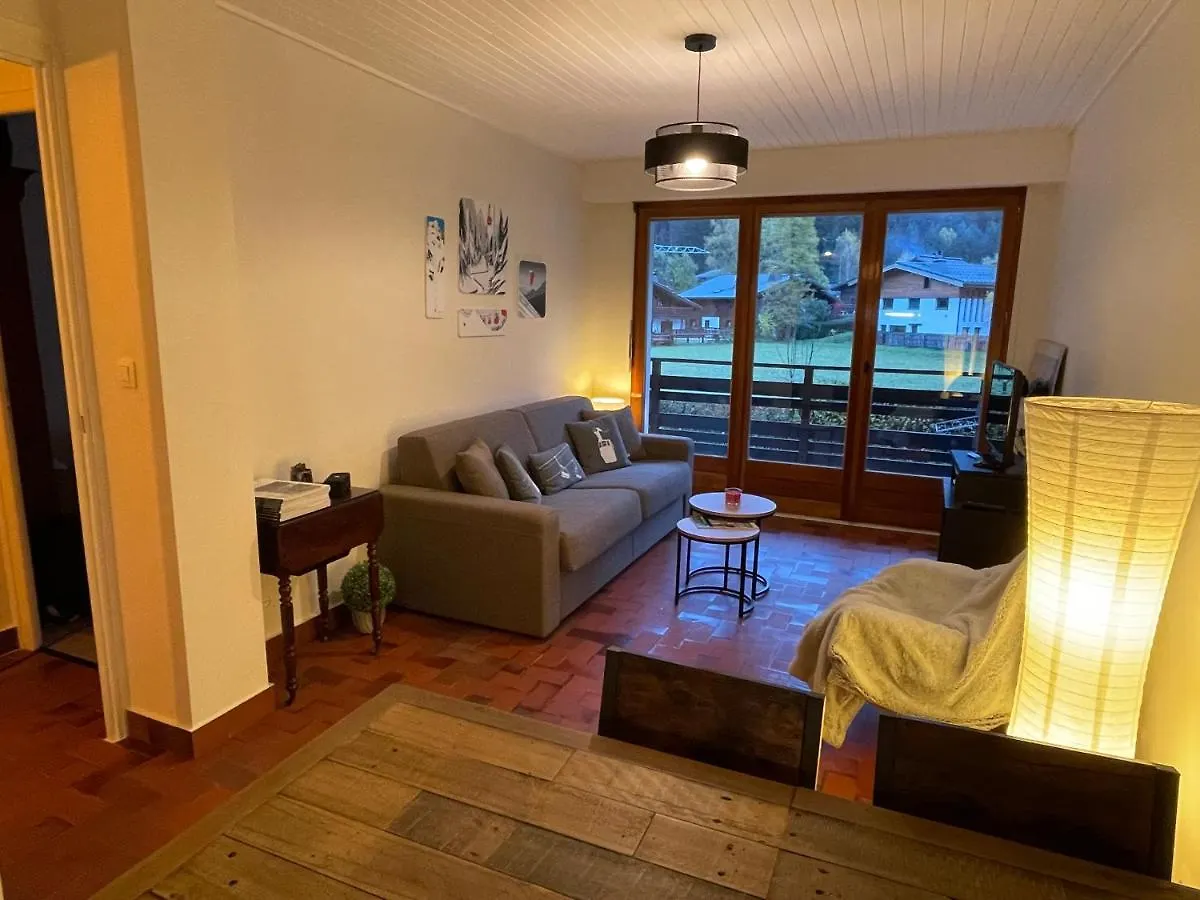 Residence Bois Du Bouchet, Appartement Vue Montagne, Calme, Parking Gratuit, Proche Centre Chamonix