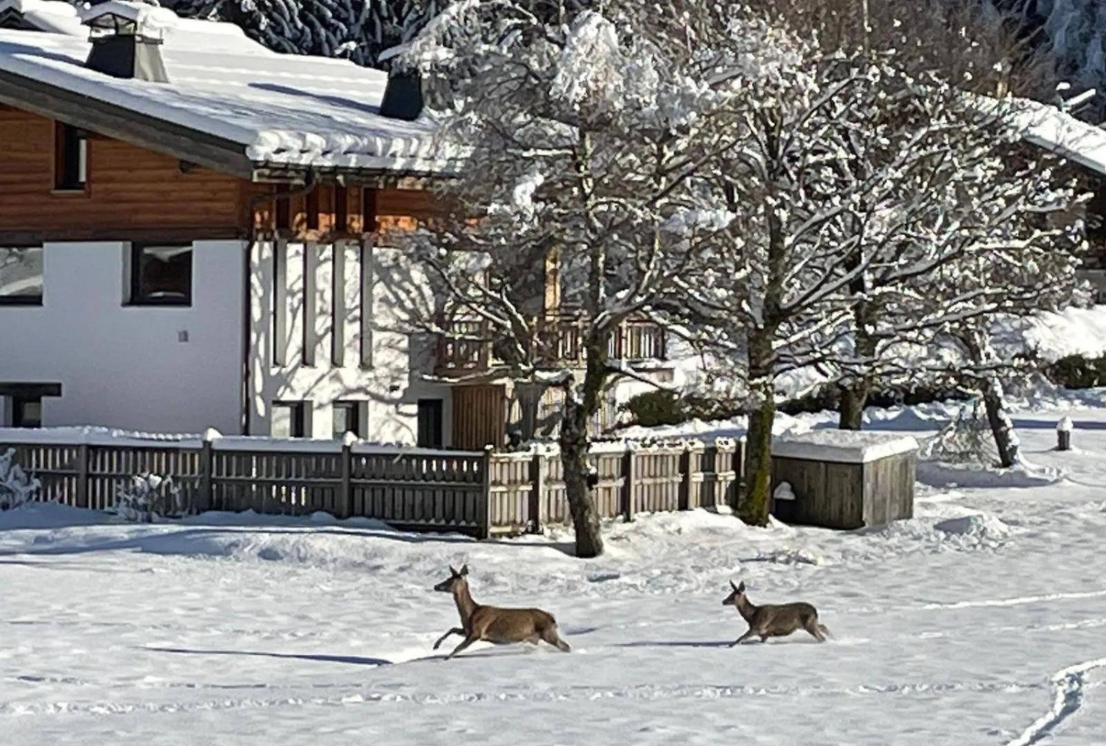 Residence Bois Du Bouchet, Appartement Vue Montagne, Calme, Parking Gratuit, Proche Centre Chamonix Daire