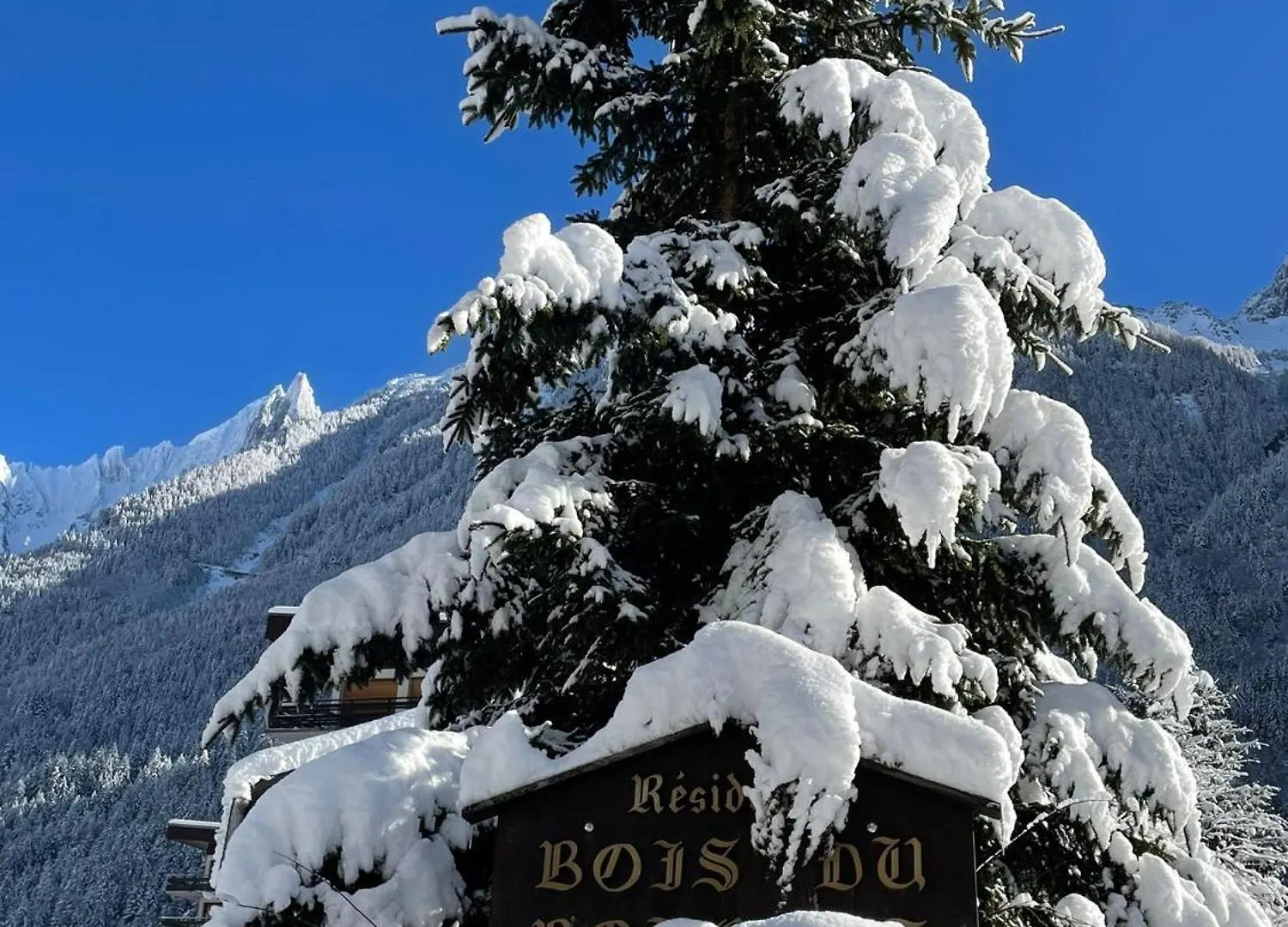 Residence Bois Du Bouchet, Appartement Vue Montagne, Calme, Parking Gratuit, Proche Centre Chamonix