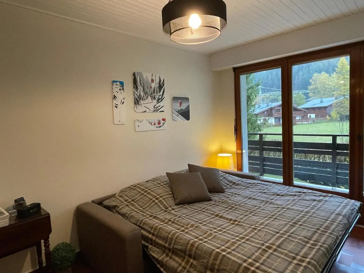 Residence Bois Du Bouchet, Appartement Vue Montagne, Calme, Parking Gratuit, Proche Centre Chamonix 0*,